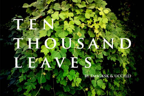 Ten Thousand Leaves
